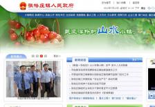 张格庄镇政府网网站案例