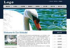 家禽养殖企业网站网站设计