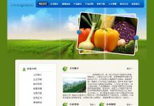 蔬菜公司网站网站设计