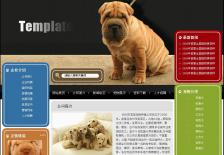 宠物养殖场网站网站设计