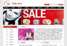 化妆品公司网站网站案例