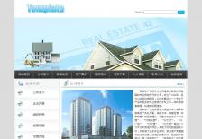 房地产开发公司网站网站案例