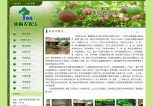 小型农家乐网站网站设计